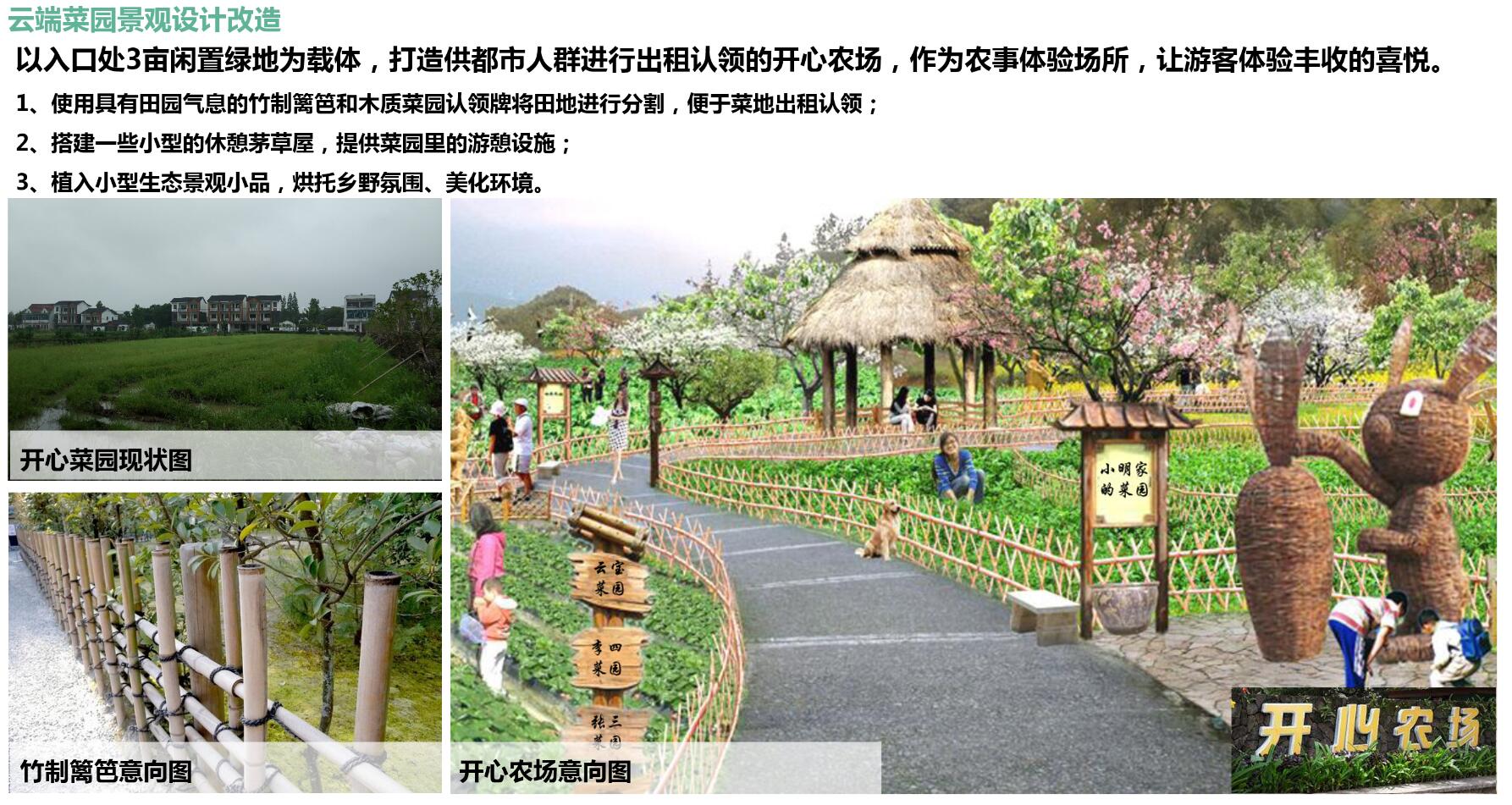 嘉善县大云镇东云村、曹家村、缪家村、大云村四个重点村落的3A级景区村庄提升规划